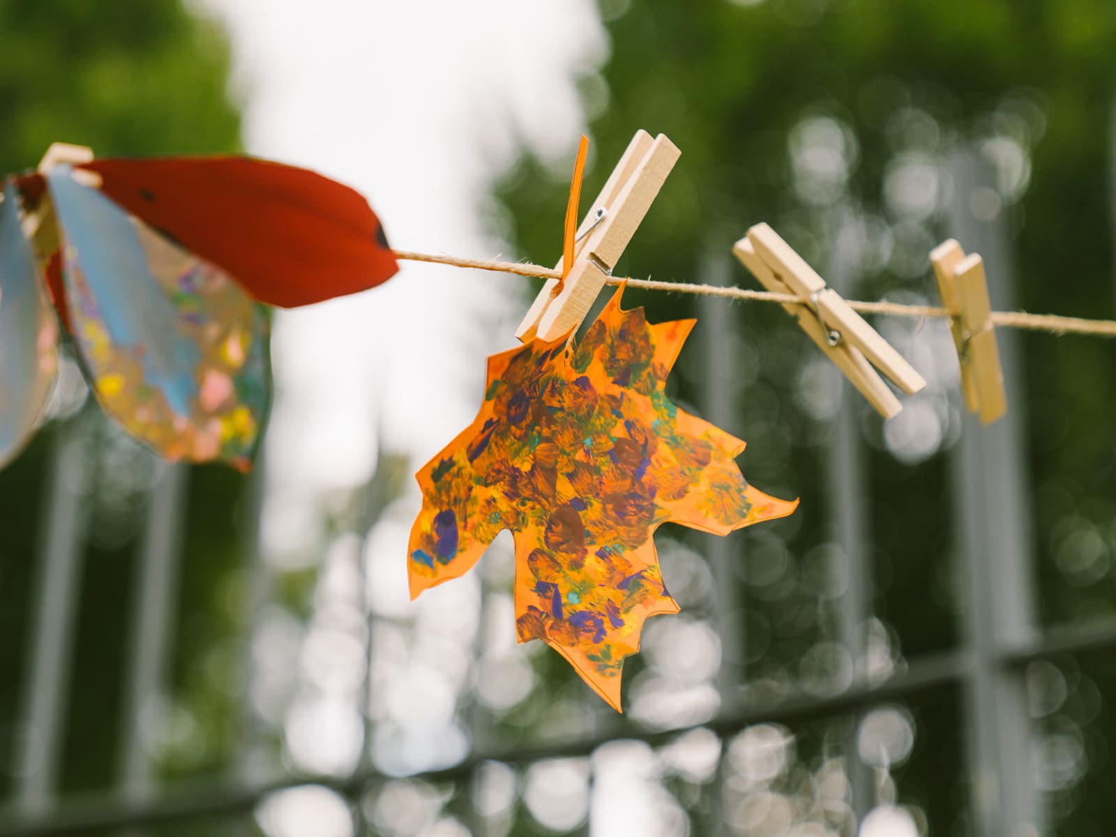 foto di BAM Season Day: Benvenuto Autunno!