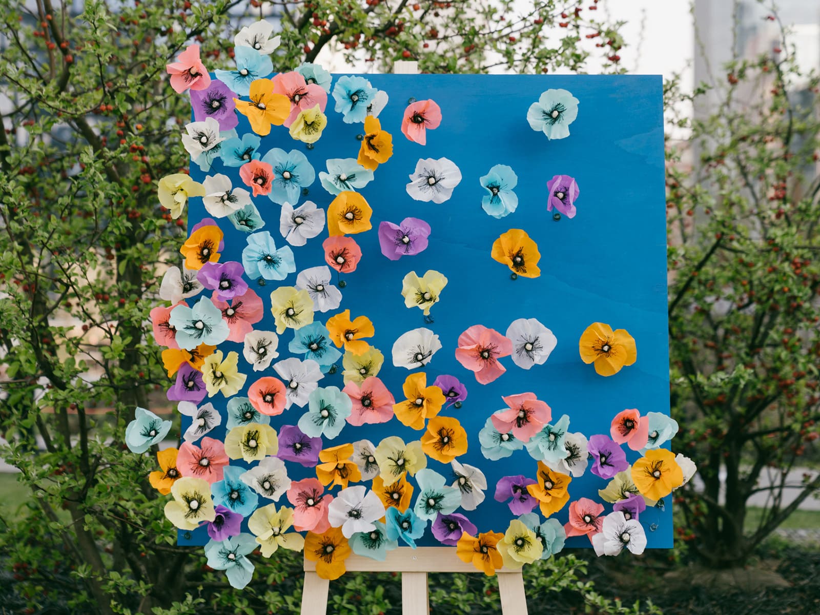 foto di BAM Season Day: Arriva la Primavera!