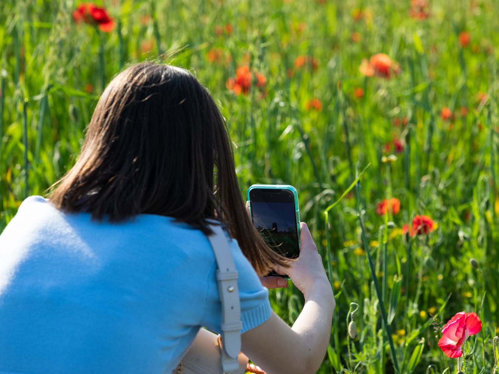 foto di Corso di fotografia base con smartphone