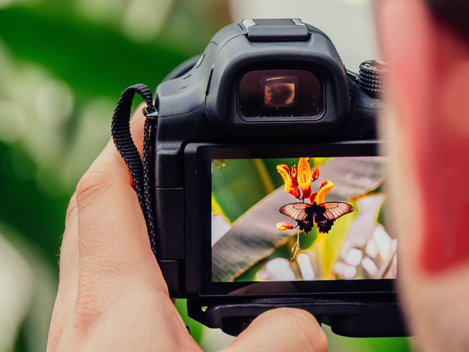 foto di Passeggiate BAM: natura e fotografia