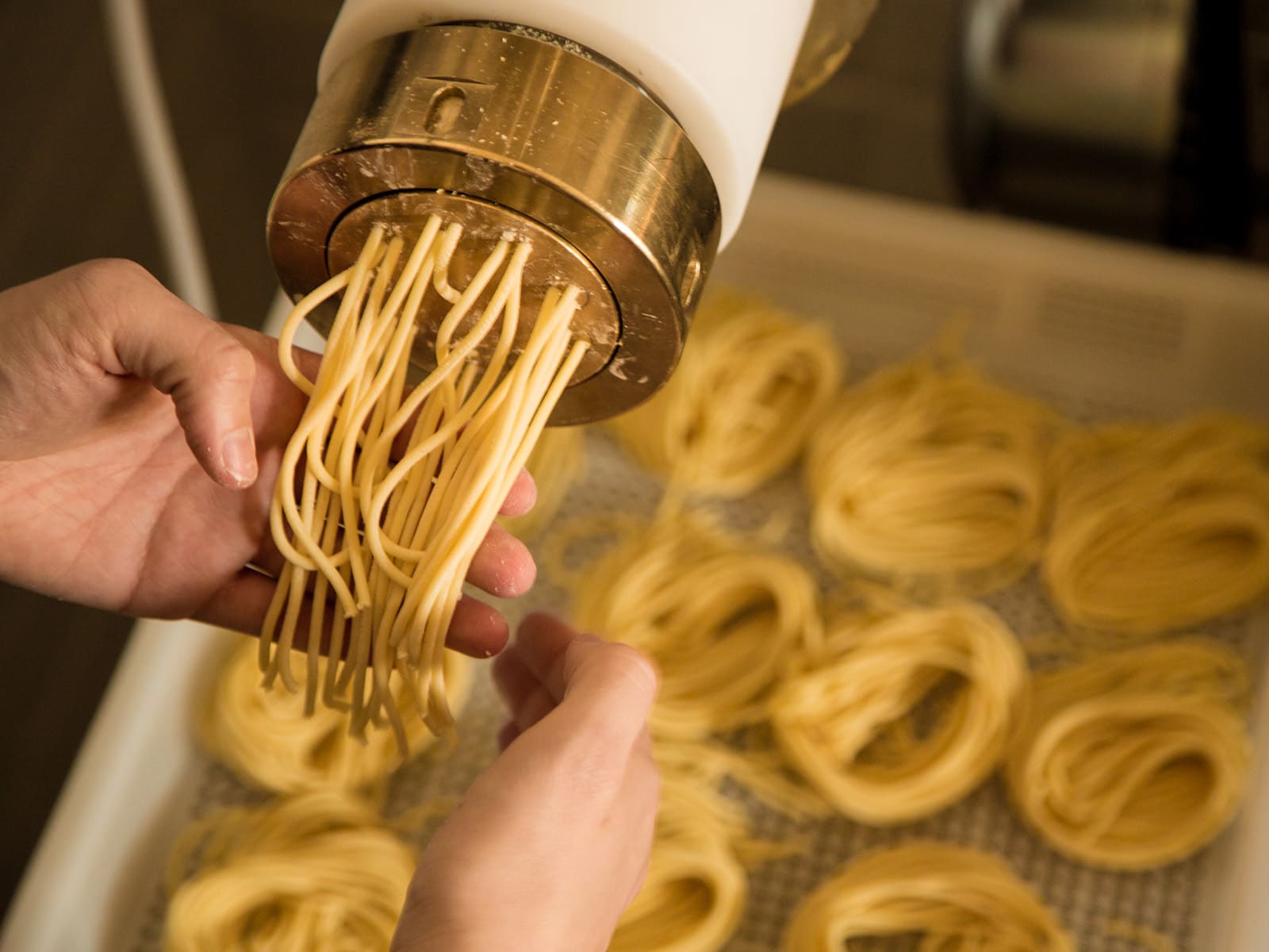 foto di Apre a Portanuova MISCUSI: il fast good italiano della pasta